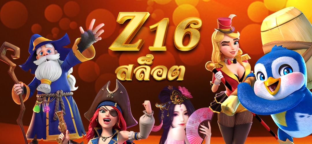 z16 banner